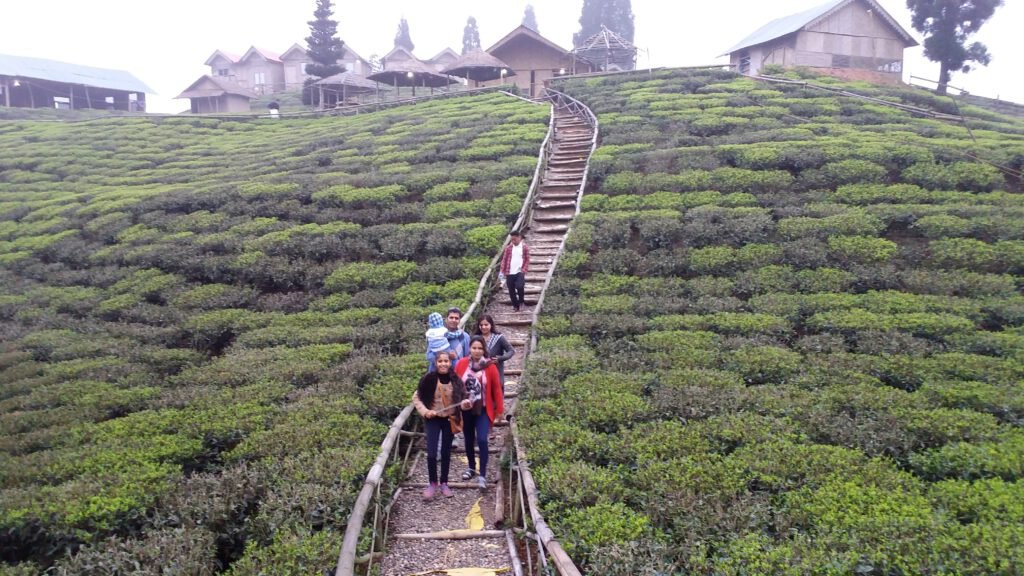Shree Antu village
