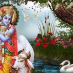 Lord Krishna 13