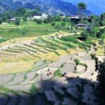 Panchase and Bhadaure village hike
