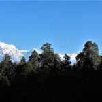 Panchase hike