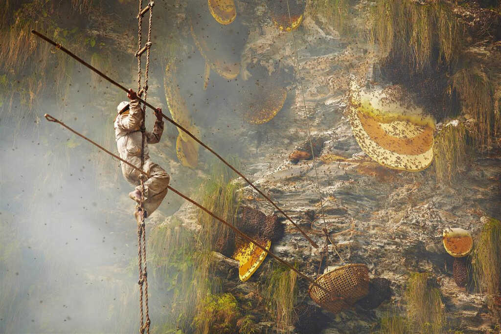 Honey hunting in Nepal