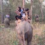 Elephant Safari at Banke National Park