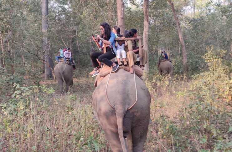 Elephant Safari at Banke National Park