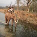 Elephant safari