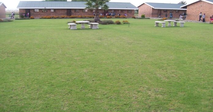 The Ideal School
