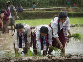 Importance of Agriculture in Nepal