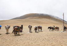 Barsedanda, a common pilgrimage site for Hindus and Buddhists A view of Barsedanda