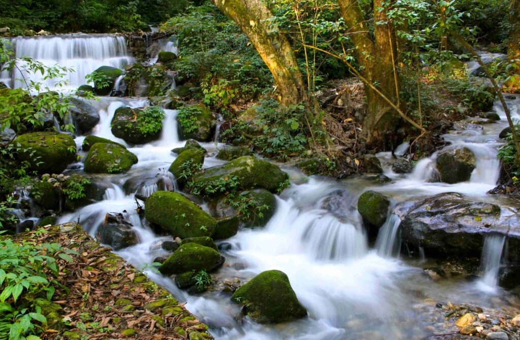 Shivapuri Nagarjun National Park