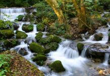 Discover: Shivapuri Nagarjun National Park Shivapuri Nagarjun National Park